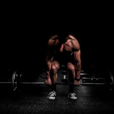 DynaFitnessShop training